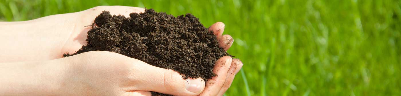 Ernest Martine Incorporated hand dirt grass
